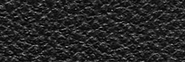 DANI FLORIDA LEATHER