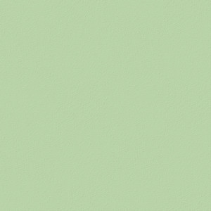 plastic finishing, material: polypropylene; color: pastel-green
